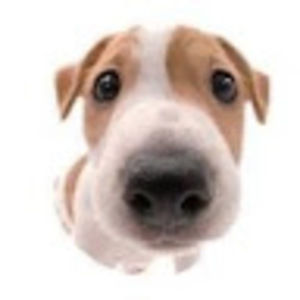 Meet your Posher, Fabiola